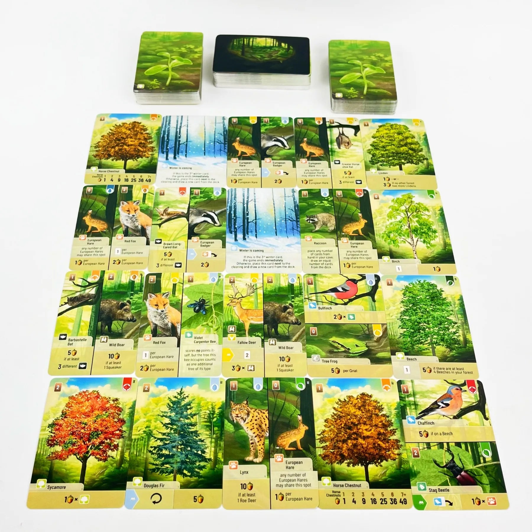 Forest Shuffle Card Game - Clever Strategy Game, Fun Family Game for Kids and Adults , 2-5 Players, 60 Minutes
