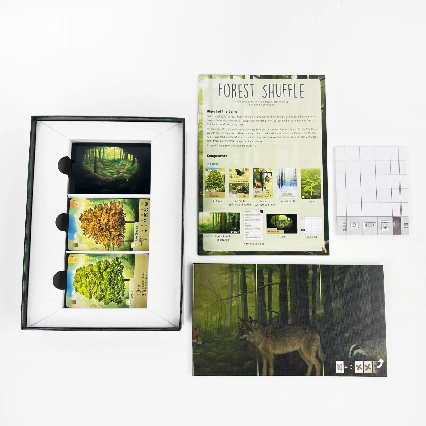 Forest Shuffle Card Game - Clever Strategy Game, Fun Family Game for Kids and Adults , 2-5 Players, 60 Minutes