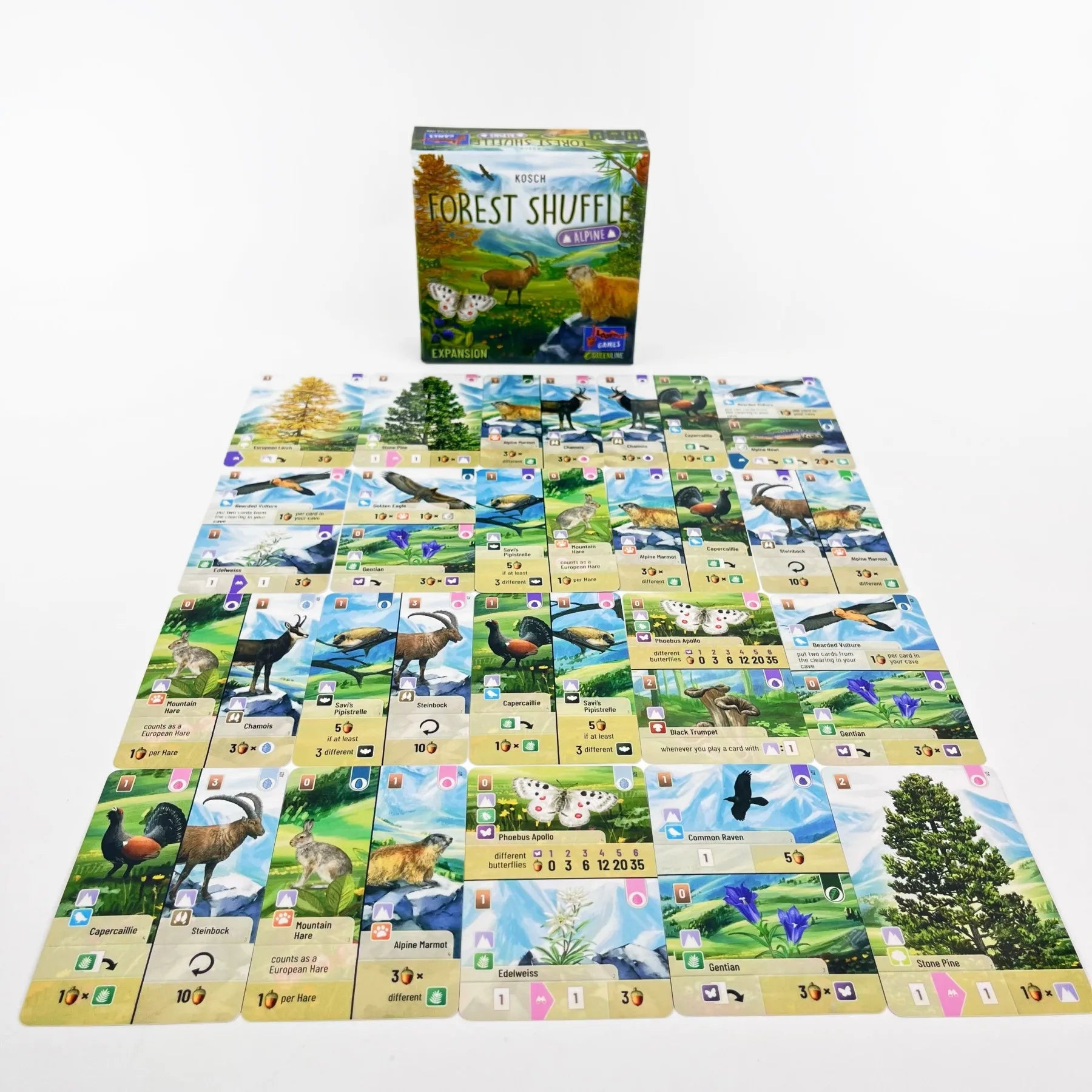 Forest Shuffle Card Game - Clever Strategy Game, Fun Family Game for Kids and Adults , 2-5 Players, 60 Minutes